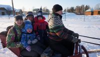Как мы встретили старый новый год с лошадками