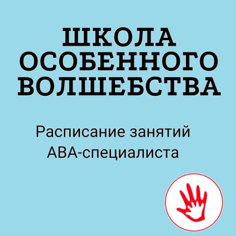 Занятия с АВА-специалистом в рамках проекта «Школа особенного волшебства»