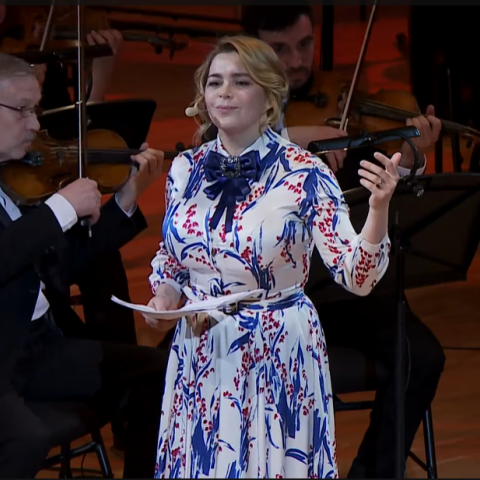БКЗ: ГАНС-ХРИСТИАН АНДЕРСЕН «ДИКИЕ ЛЕБЕДИ»