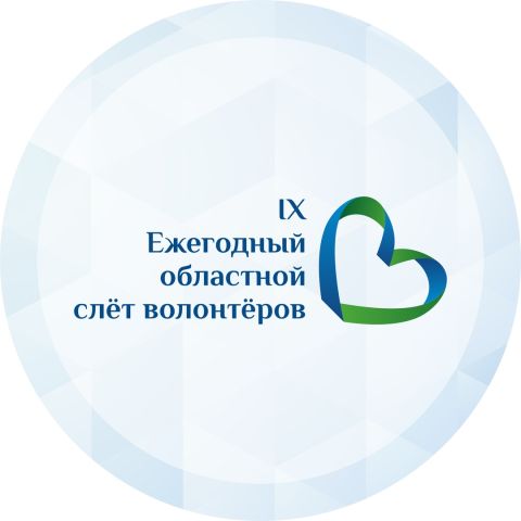 lX Ежегодный областной слёт волонтёров 