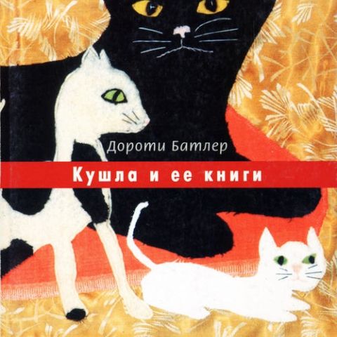 КАК РАЗБИТЬ «СТЕКЛЯННУЮ СТЕНУ». ПЯТЬ КНИГ ПРО ДЕТЕЙ С ОСОБЕННОСТЯМИ