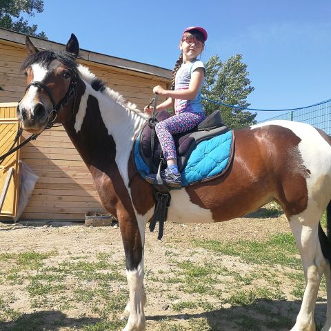 Спортивное лето Насти