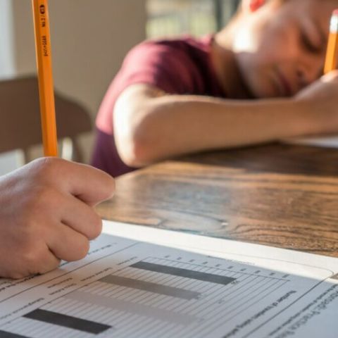 Больше половины детей с инвалидностью учатся дома, потому что в школах нет специальных условий