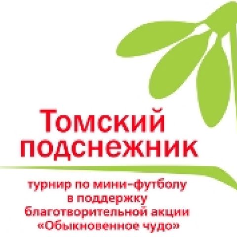 «ТОМСКИЙ ПОДСНЕЖНИК» НА ФИНИШНОЙ ПРЯМОЙ