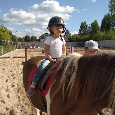 photo_3675
