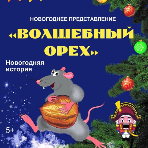 Новогоднее представление "Волшебный орех" во Дворце творчества детей и молодежи