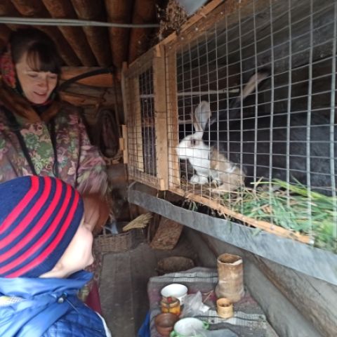 photo_2133