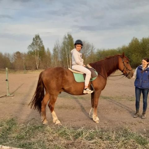 photo_2971