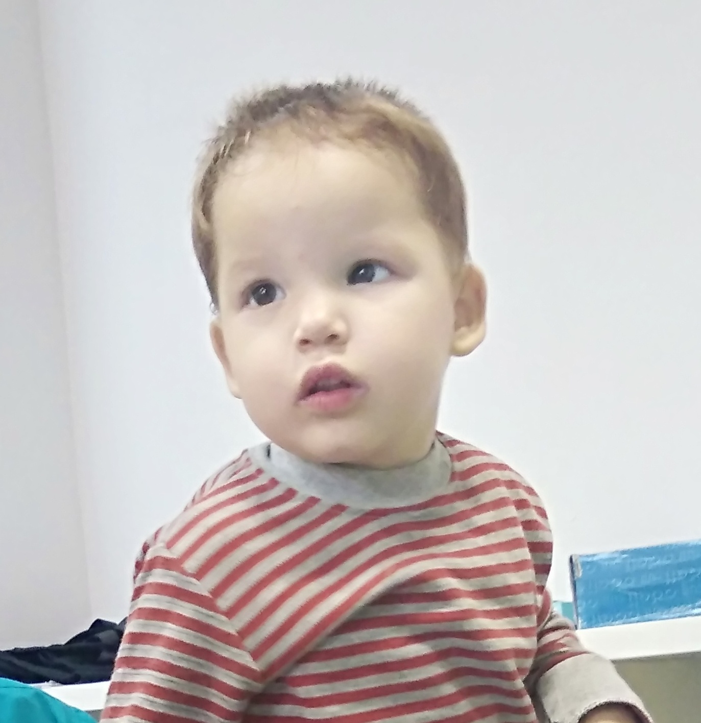 Владислав Шоленков
